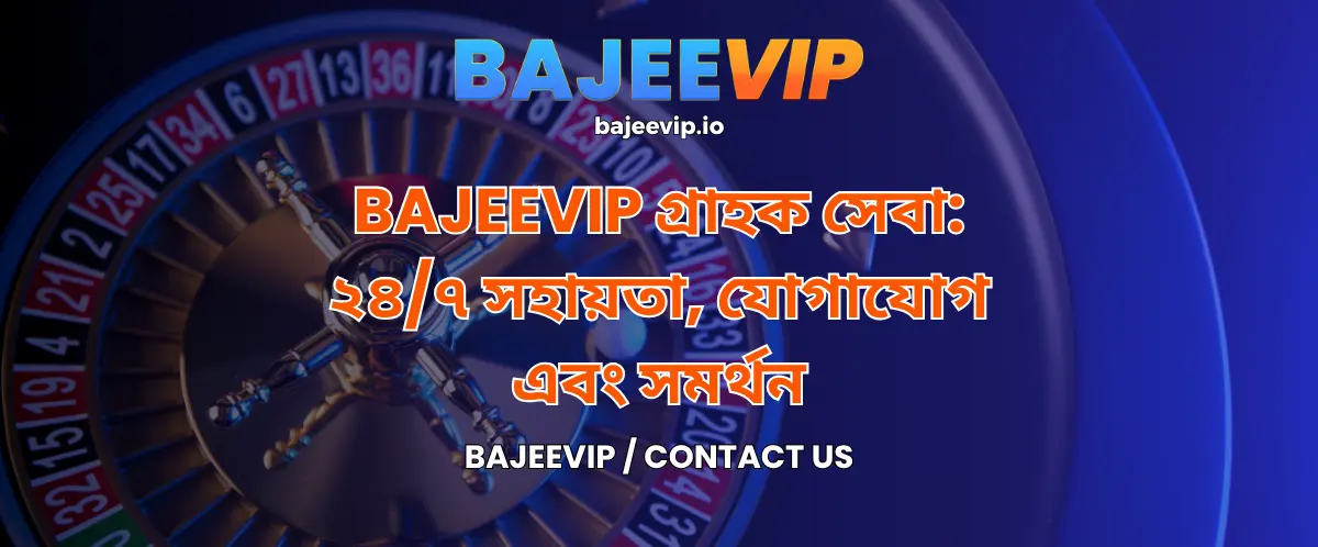 Contact Bajeevip.io