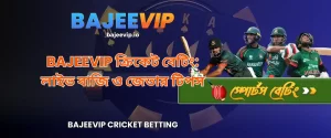 BAJEEVIP ক্রিকেট বেটিং: লাইভ বাজি ও জেতার টিপস