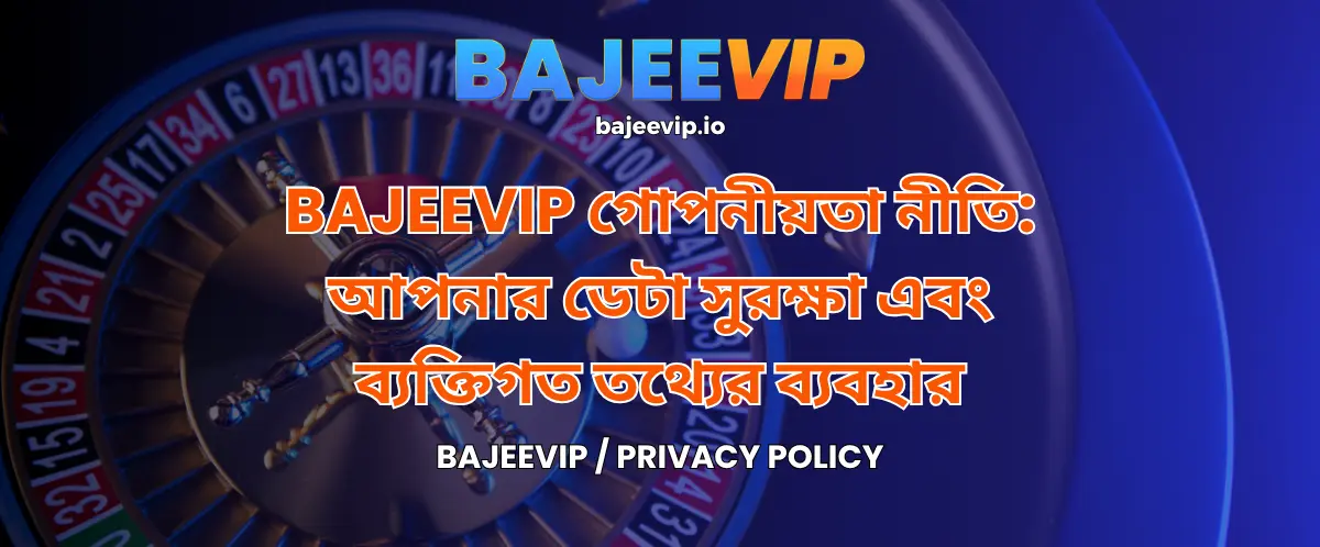 Privacy Policy at BAJEEVIP