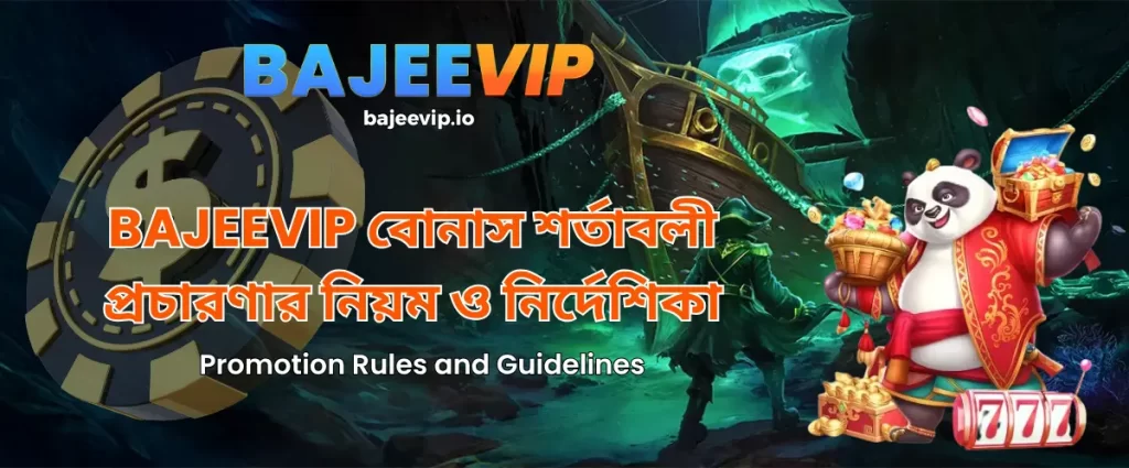 BAJEEVIP Bonus Terms: Promotion Rules and Guidelines